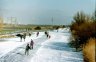 wintersport (69).jpg - 